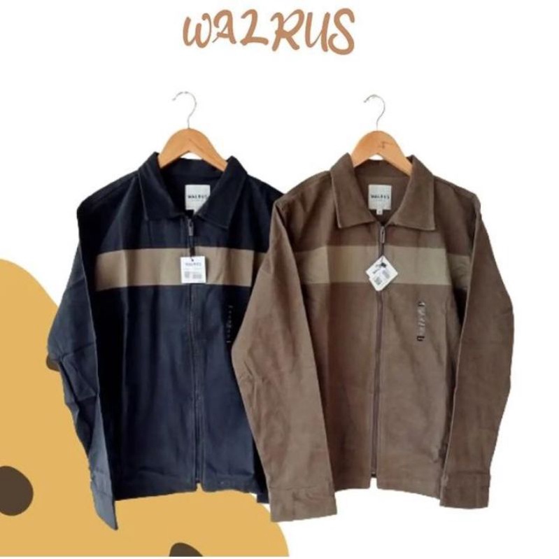 jaket walrus cowok dewasa