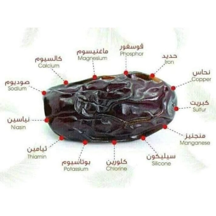 

Di Coba Dulu Beli Kurma Ajwa Al-Madina Premium / Kurma Nabi / Kurma Ajwa Original