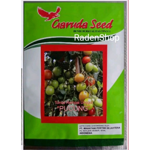 Benih Bibit Tomat PUCUNG || Biji Tomat || Bibit Tomat Sayur ||  Tomat Sayur || Benih Sayuran