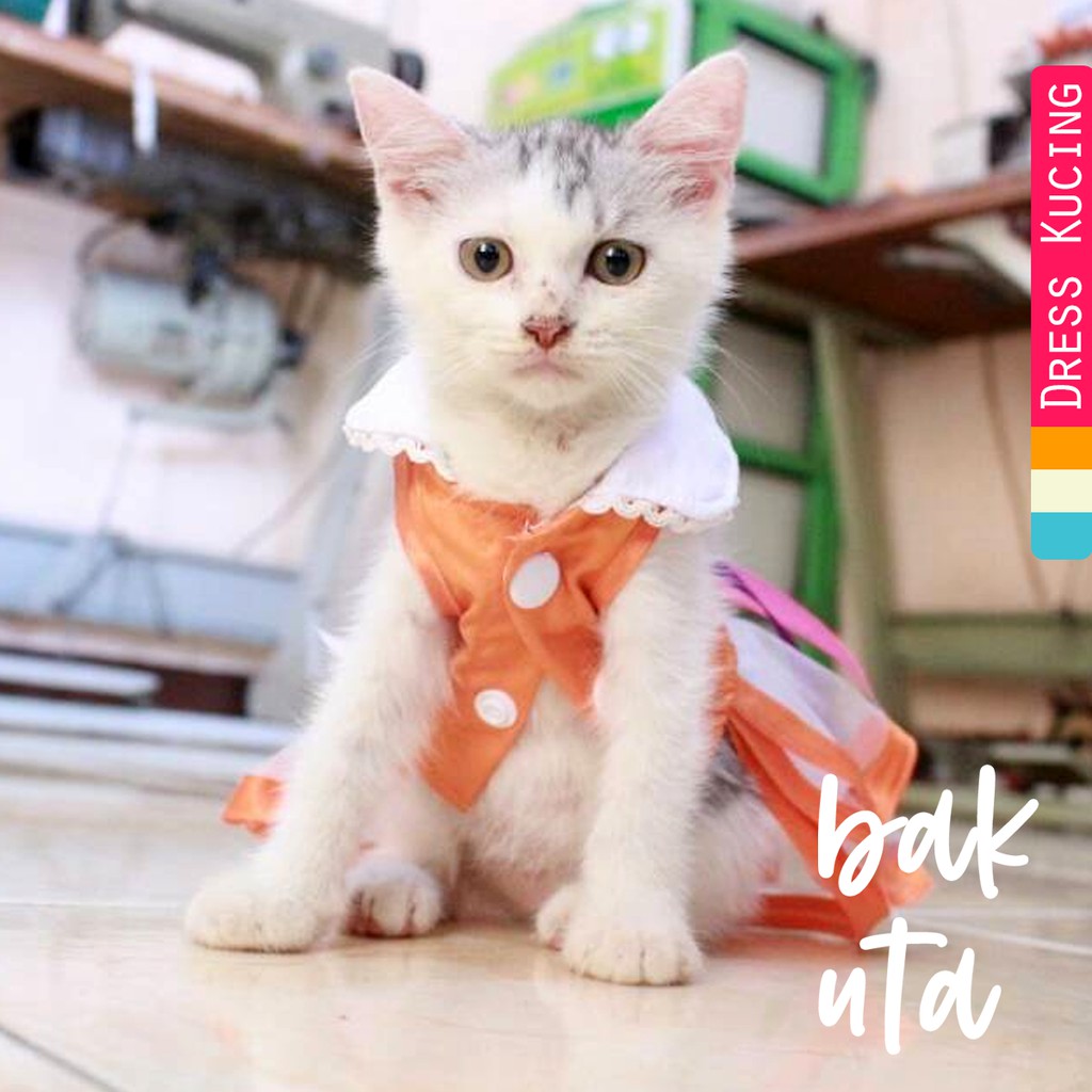 Baju kucing lucu model dress orange untuk kucing dan anjing / baju kucing terlaris size S M L XL