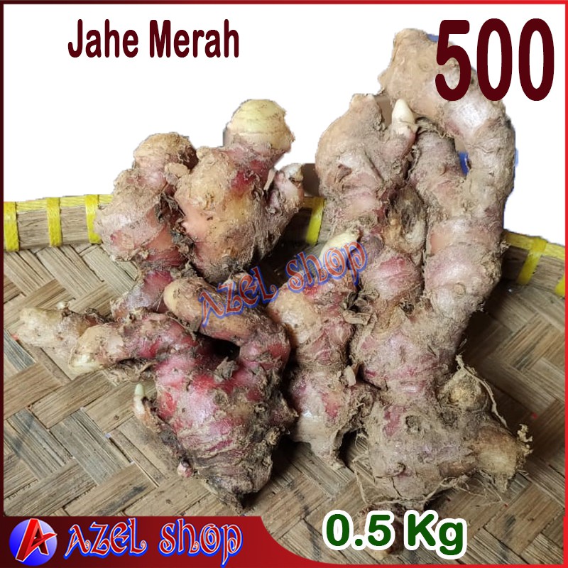 

Jahe Merah 0.5kg atau 500 gram - jahe untuk minuman obat jamu bumbu