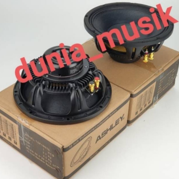 speaker ashley top10neo top 10neo 10inch 8ohm 16ohm original