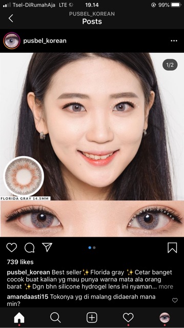 Lamune florida moonlit brown gray softlens korea