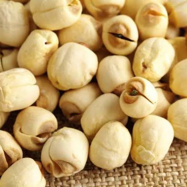 

[PASTI MURAH] - LOTUS SEED / BIJI TERATAI 10gr