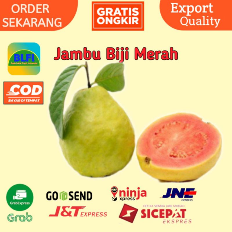 

BUAH JAMBU BIJI MERAH