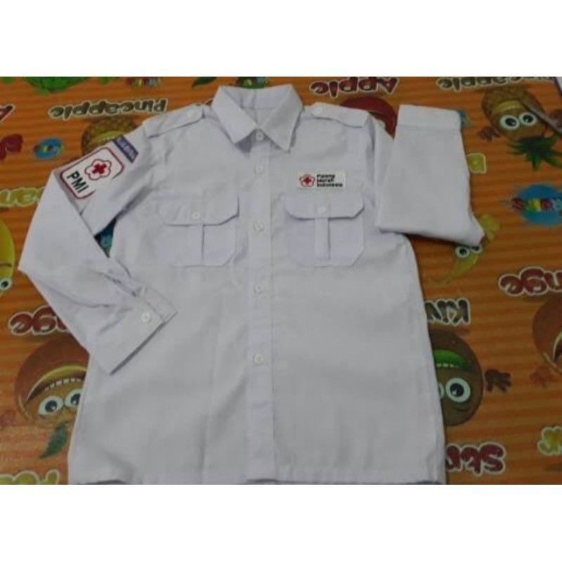 PDH PMR BORDIR