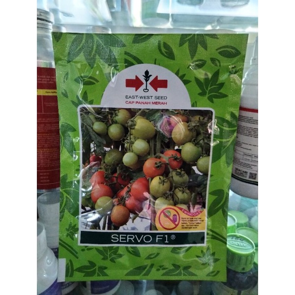 SERVO F1 Benih Tomat