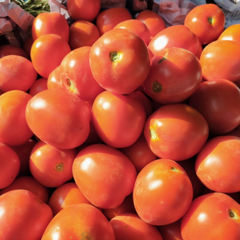 

Tomat Segar 500 gram