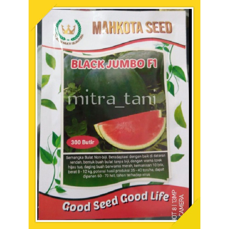 benih semangka non biji BLACK JUMBO F1 300biji dari MAHKOTA SEED