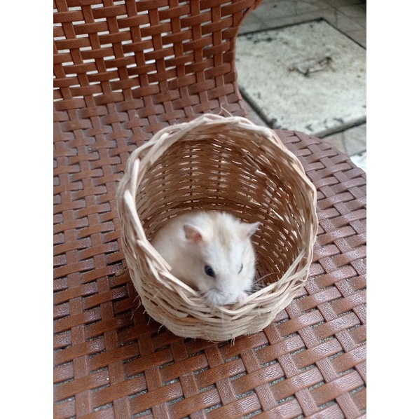 Rumah hamster/tempat sembunyi model lucu dari bambu