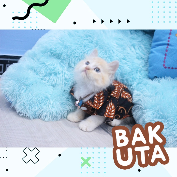 Baju kemeja lucu untuk kucing motif batik No #132 / Baju Kucing tangerang murah / baju kucing lucu size S-XL