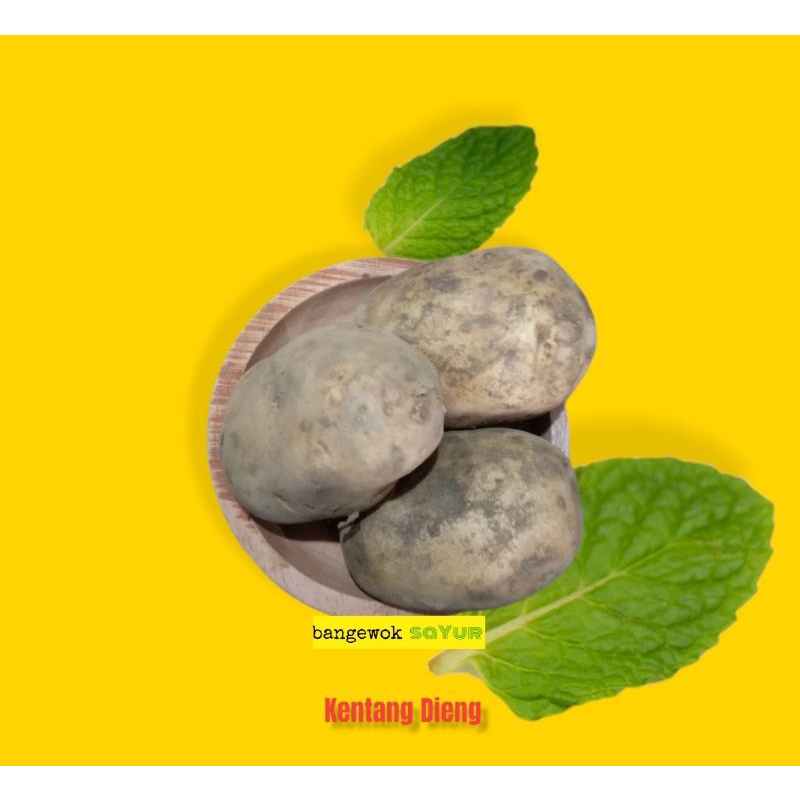 

KENTANG DIENG GRADE A 500GR