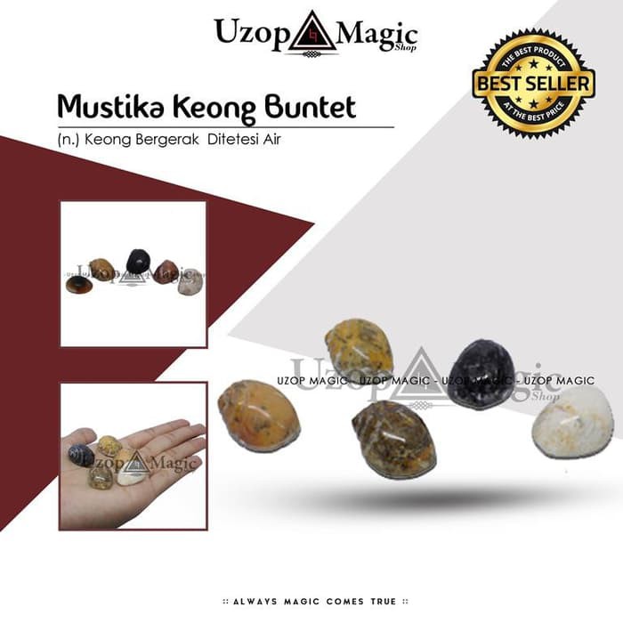 Mainan Sulap Hobby Alat Keong Buntet Uzop Magicshop Mistik SBHD15240