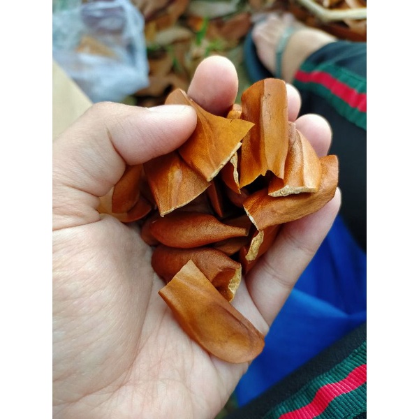 

Biji Mahoni kering 500gr