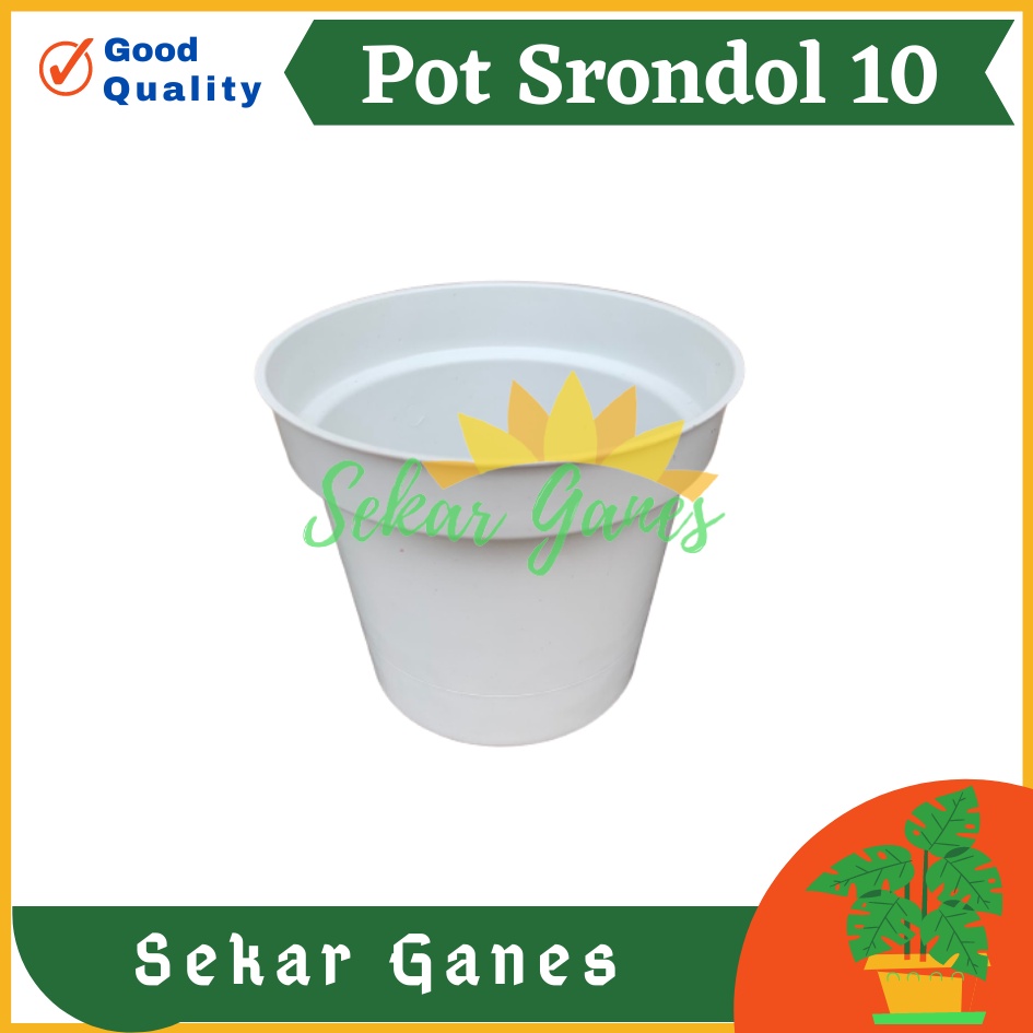 POT BUNGA 10cm PUTIH Pot Tanaman Hias Grosir Murah Plastik Pot 10 cm MURAH