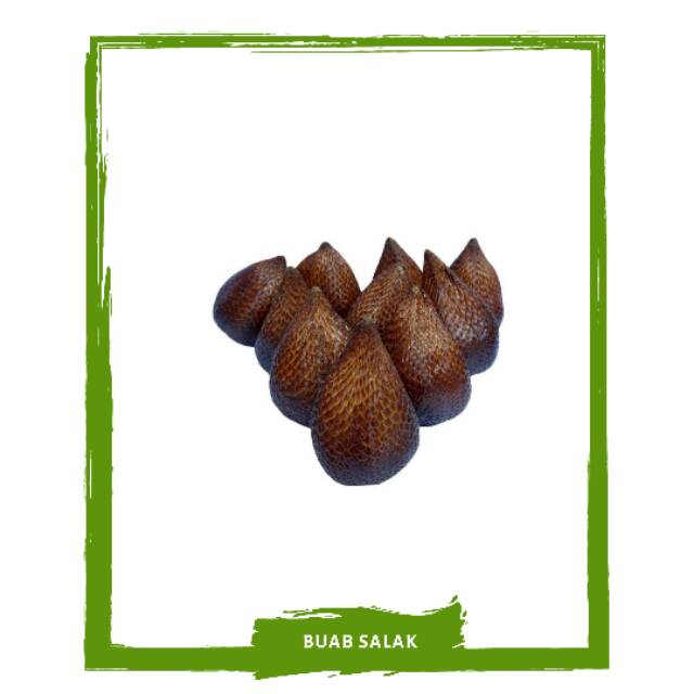 

Salak / Buah Buahan Segar By Mallahrizwa