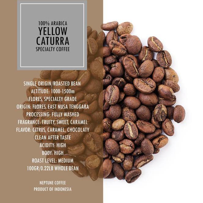 

db6p biji kopi arabika yellow caturra 250gr flores halokoffi arabica coffee y21c
