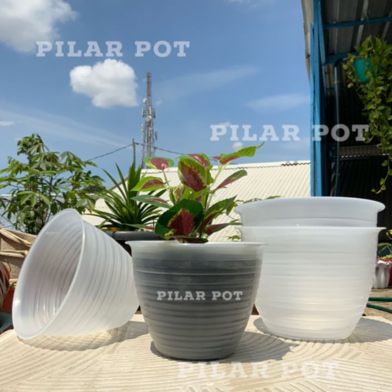 pot bunga tanaman hanny bening transparan 22cm model tawon - jmp 025