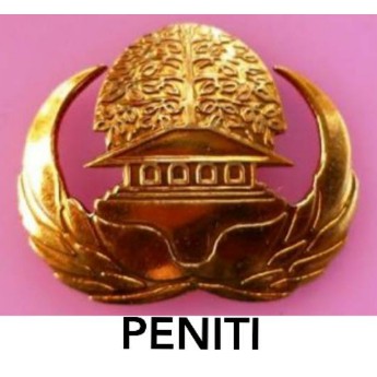 Pin korpri peniti bahan kuningan - pin peniti - korpri peniti - pin pns - pin guru Murah