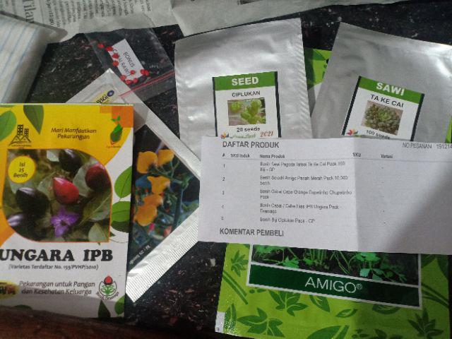 Benih Biji Ciplukan Pack - Gp