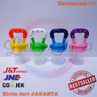 Empeng Buah Bayi Fruit Pacifier Baby BPA FREE P14 | Shopee