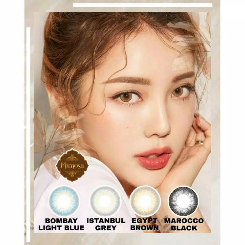 CUCI GUDANG 2025 Softlens Mimosa/Normal Minus/ Softlens 14.5/Standar