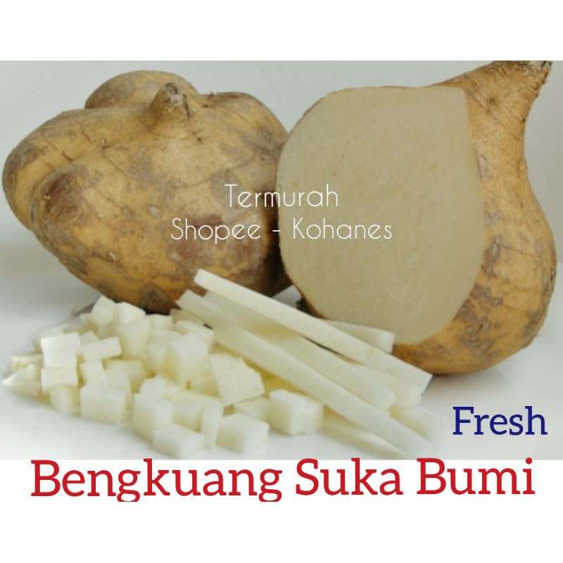 

BENGKUANG SUKA BUMI LEBIH MANIS ( FRESH LANSUNG DARI KEBUN )