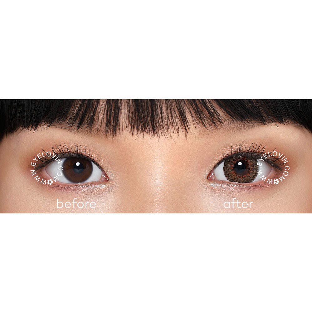 Softlens AW Beauty - French 3tones Brown