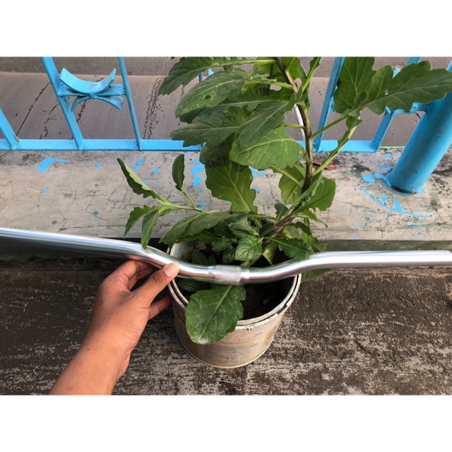 Stang risebar alloy chrome