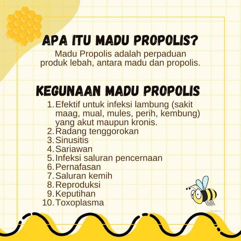 Olivoliv Snack Madu Propolis Infeksi - Peternakan Tawon Rimba Raya 100 Ml Kemasan Botol Kaca