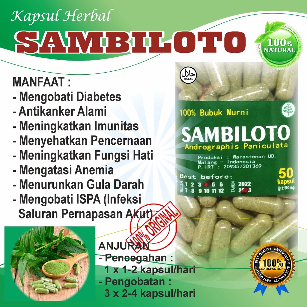 SAMBILOTO 50 KAPSUL /  DIABETS ANEMIA ISPA STAMINA IMUNITAS