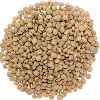

Natural Brown Lentils 1 Kg