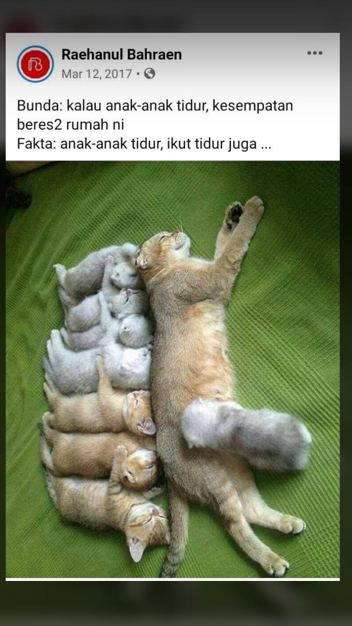 Baut Poin Panjat Untuk Dinding / Tembok