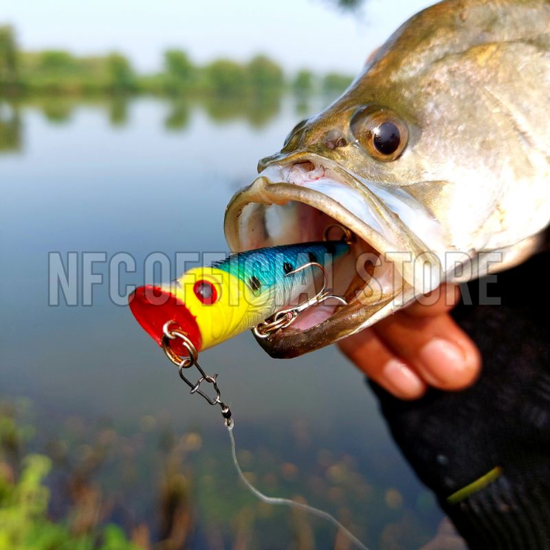 Mini popper 5 cm 5 gram BEST KILLER ACTION