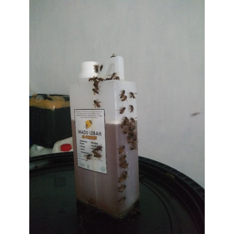 

MADU ASLI 100%/MULTIFLORA SUPER/KEMASAN 1KG