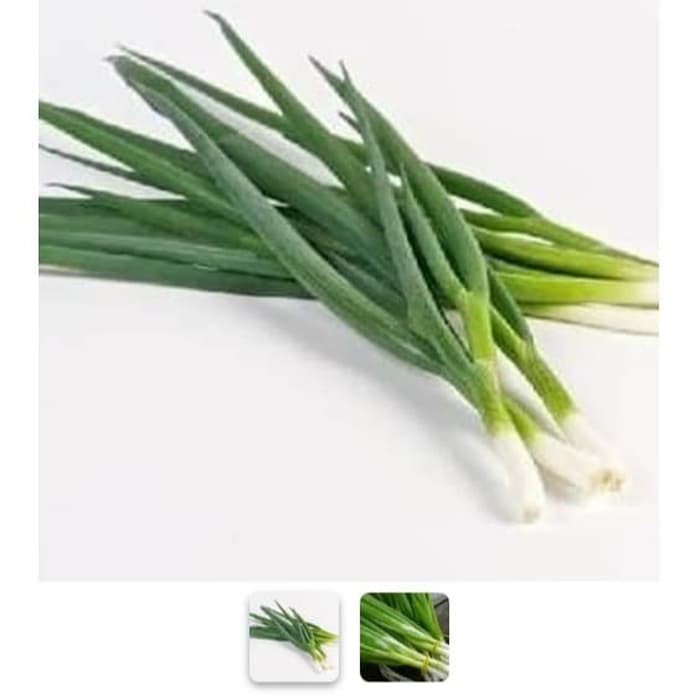 Promo Daun Bawang Prei Segar Sayur Mayur 12000 terbaik