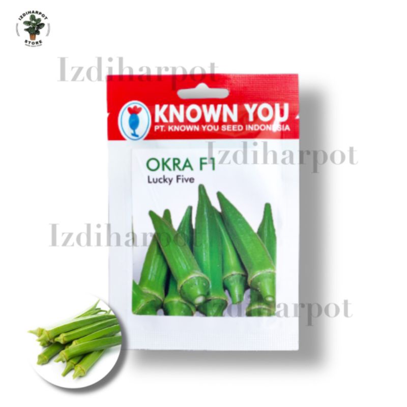 benih bibit OKRA F1 LUCKY FIVE known you seed - KYS OKRA F1 LUCKY FIVE