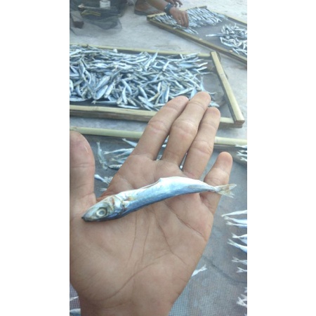 

ikan asin campur
