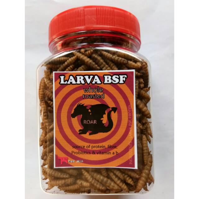 Larva Bsf Magot Lalat Kering 100 Gram Pakan Ikan Hias Louhan