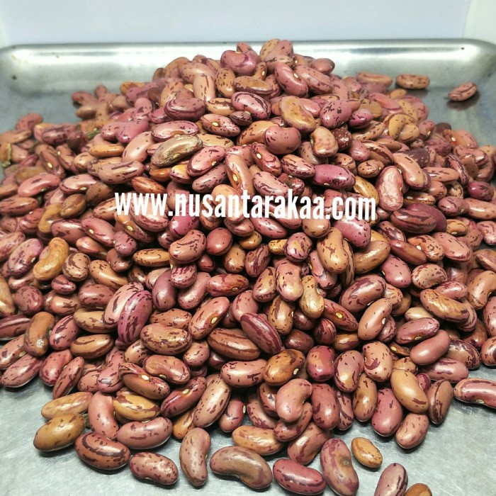 

Siap Krim Kacang Merah Super Import 1 Kg