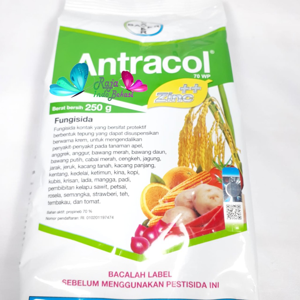 Fungisida Antracol 70 Wp 250 Gram Gr Obat Tanaman Jamur Untuk Anggrek Dan Tanaman Lain | Bukan Pupuk