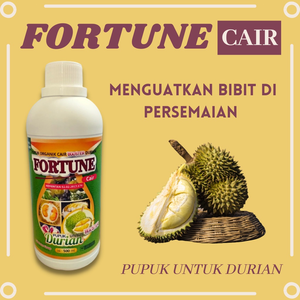 Pupuk Durian Bawor, FORTUNE Cair untuk pohon Durian, Pupuk Perangsang Pembuahan