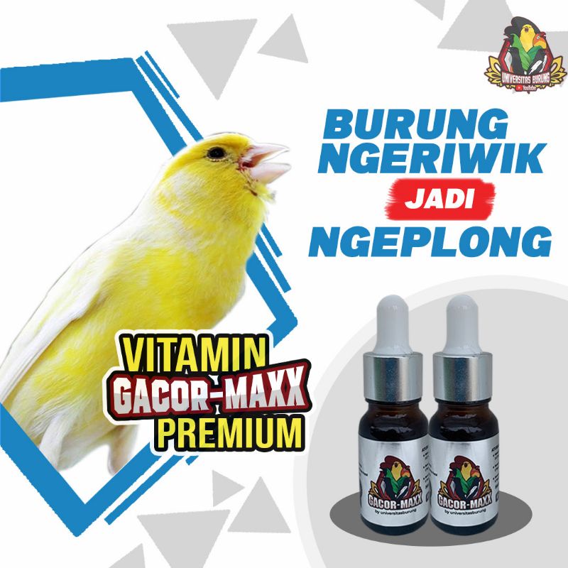 vitamin kenari vitamin gacormax premium