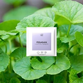 

Teh Celup Daun Pegagan (1Pcs Tea Bag SACHET)