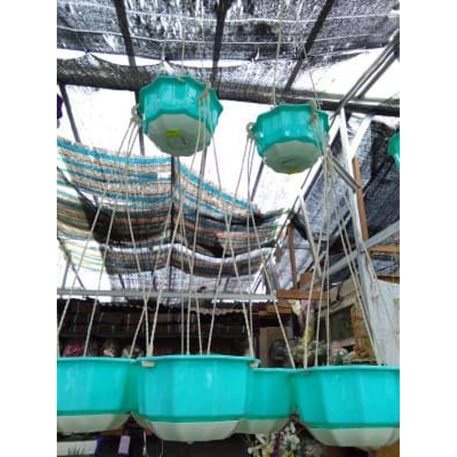 Jual POT ENOKI BIRU (GANTUNG) Diskon