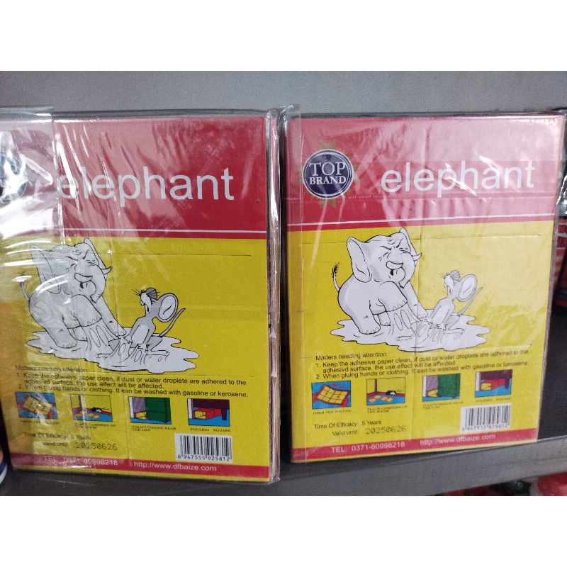 

LEM TIKUS elephant
