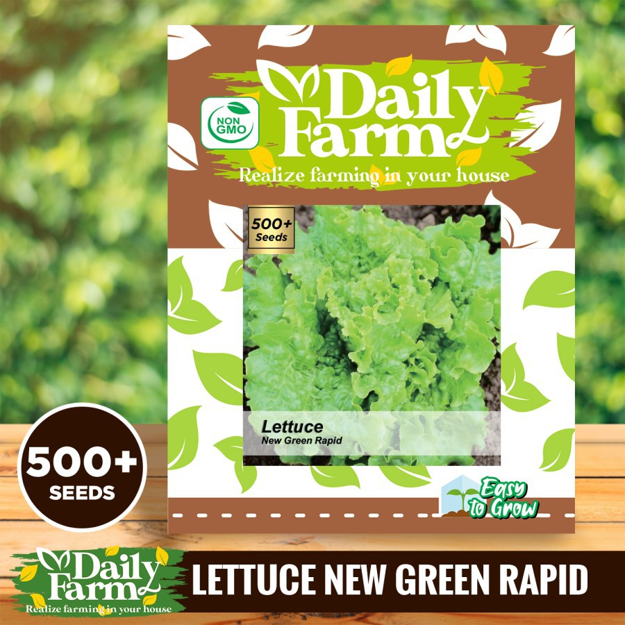 Daily Farm - Benih Bibit Lettuce New Grand Rapid - Selada Grand Rapid