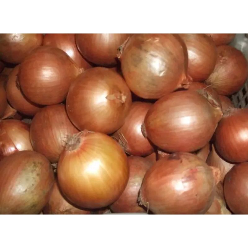 

Bawang Bombay