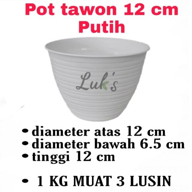 Pot tawon putih 12 cm - pot plastik - pot tanaman hias mini