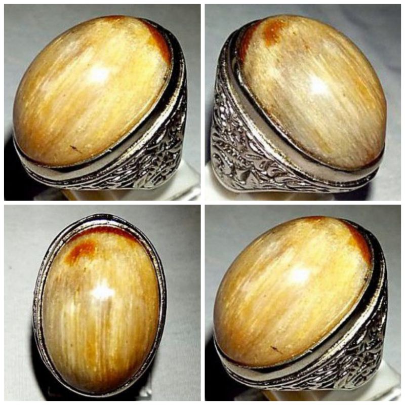 batu cincin fosil kayu sepah kelor (265)